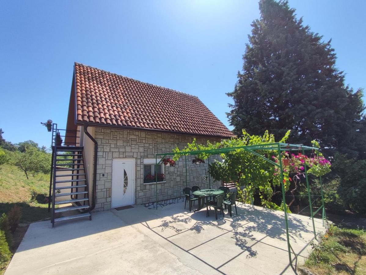 Milicin Konak Vrdnik Luaran gambar